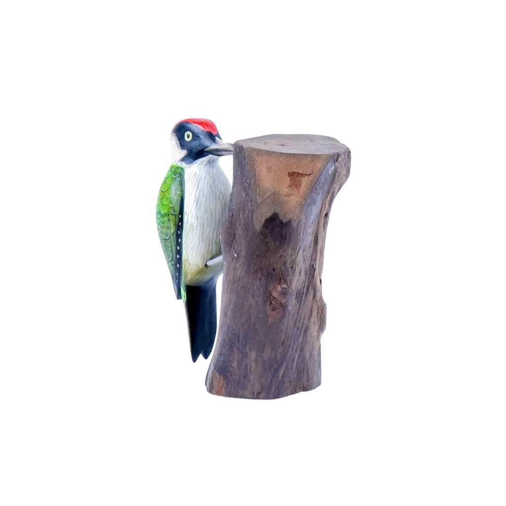 Pic Vert Wood (18) - Vert + Blanc + Noir + Rouge