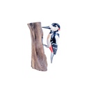 Pic Épeiche Wood (18) - Blanc + Noir + Rouge