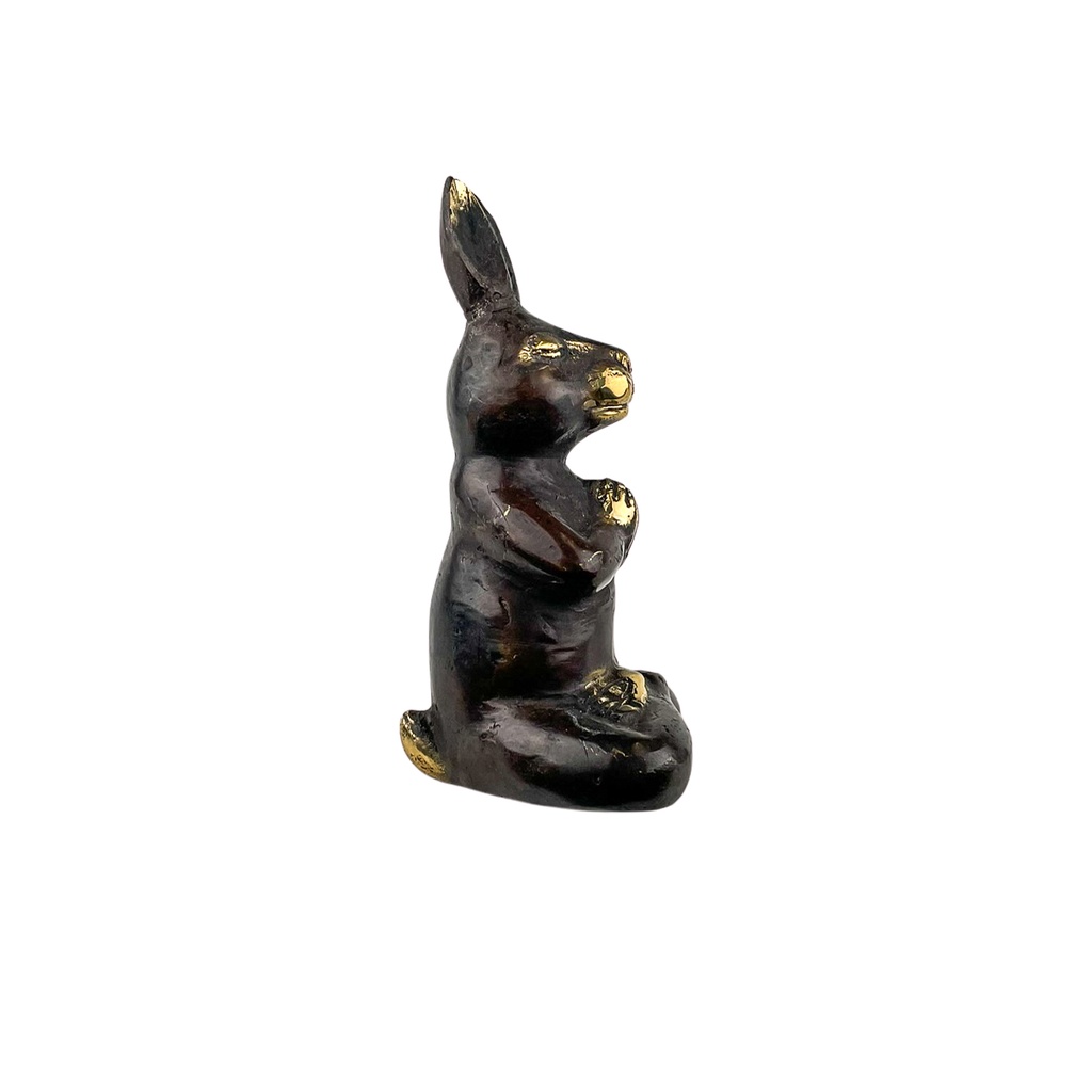 Lapin Yoga Bronze (13) - Noir + Or