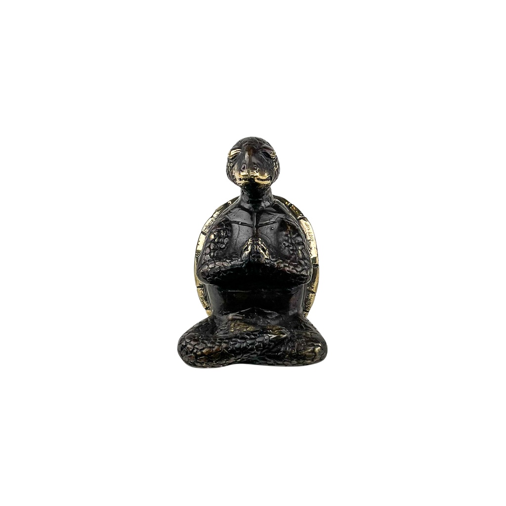 Tortue Yoga Bronze (10) - Noir + Or