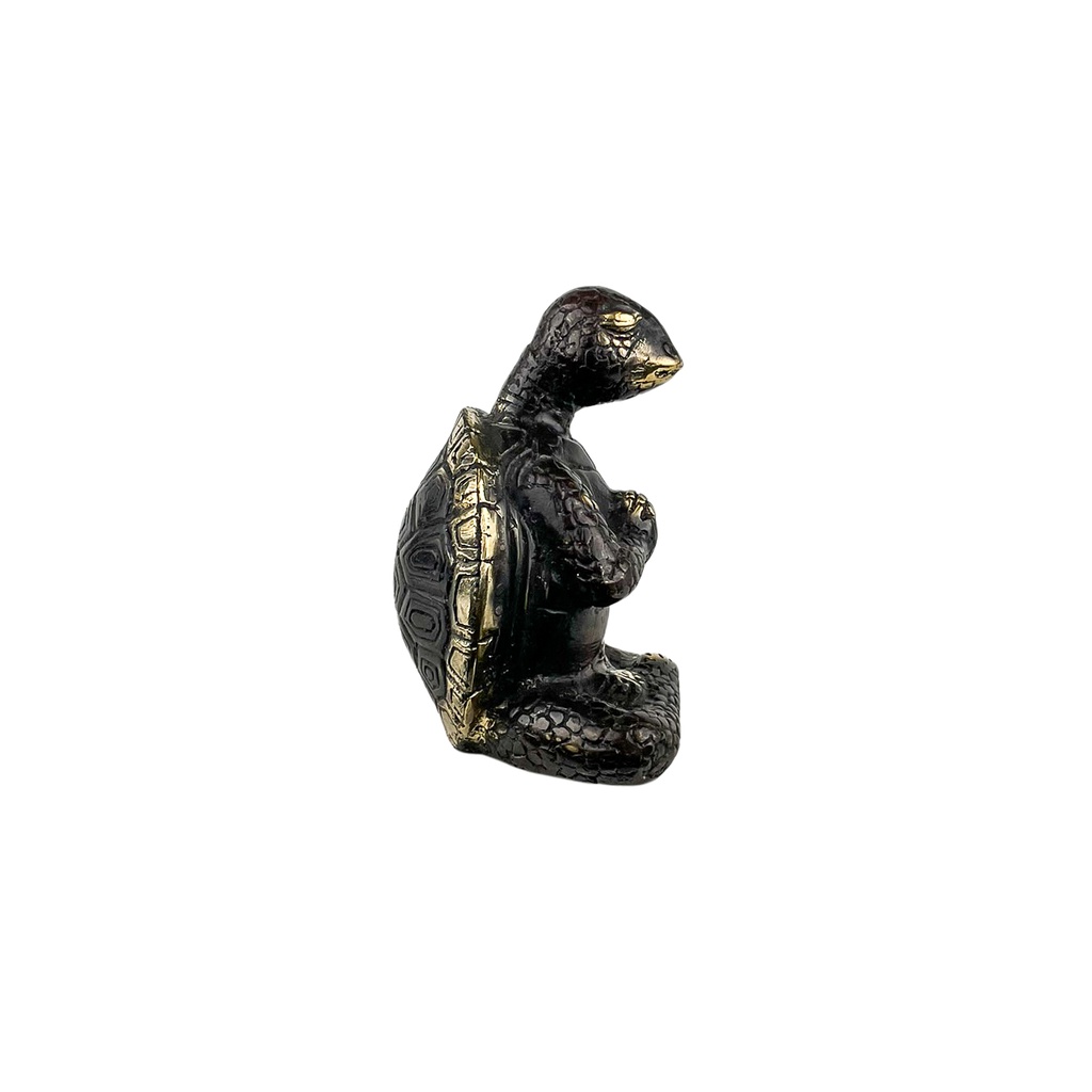 Tortue Yoga Bronze (10) - Noir + Or