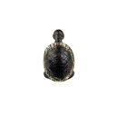 Tortue Yoga Bronze (10) - Noir + Or