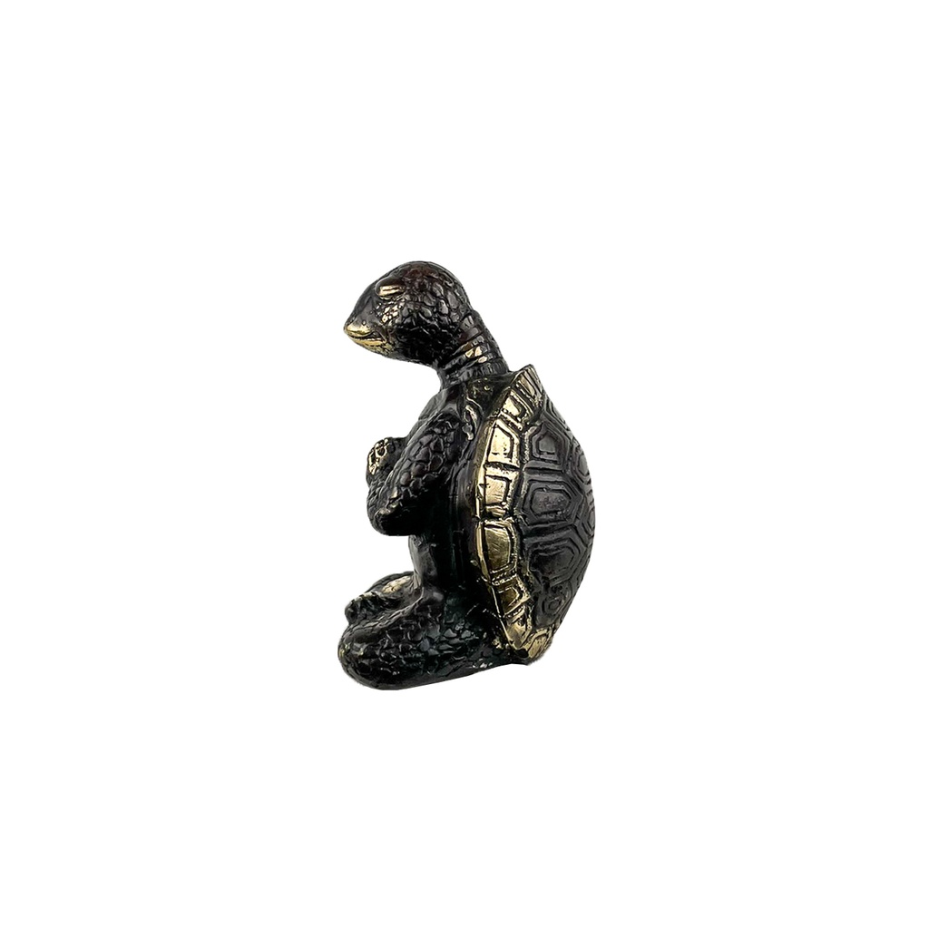 Tortue Yoga Bronze (10) - Noir + Or