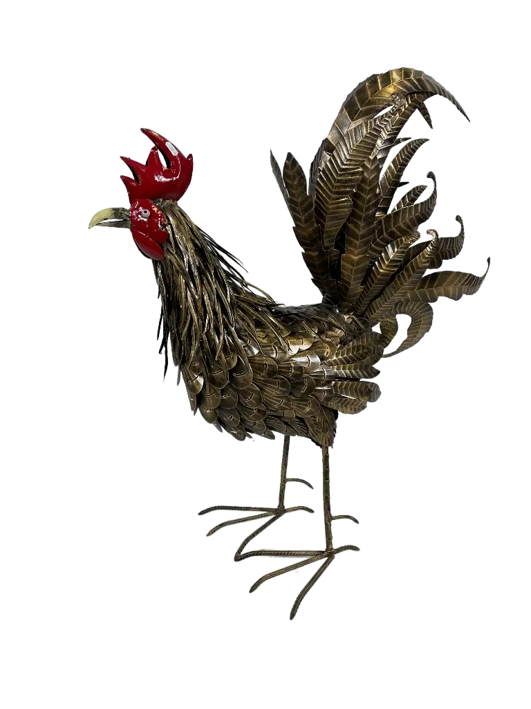 Coq (100)