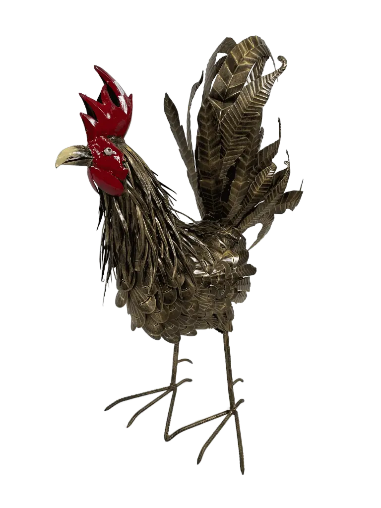 Coq (100)