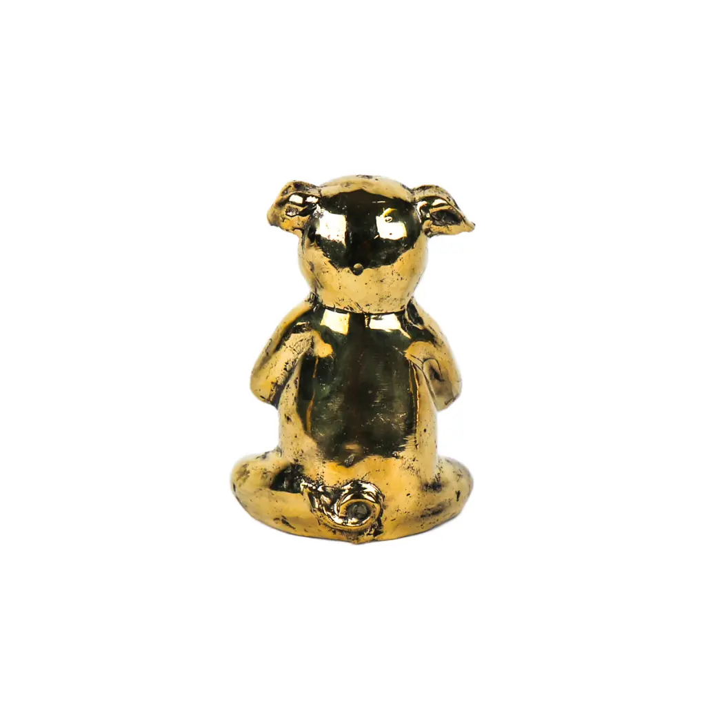 PIGYOGBZ10-01 (5).webp