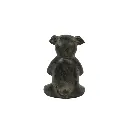 PIGYOGBZ10-03 (5).webp