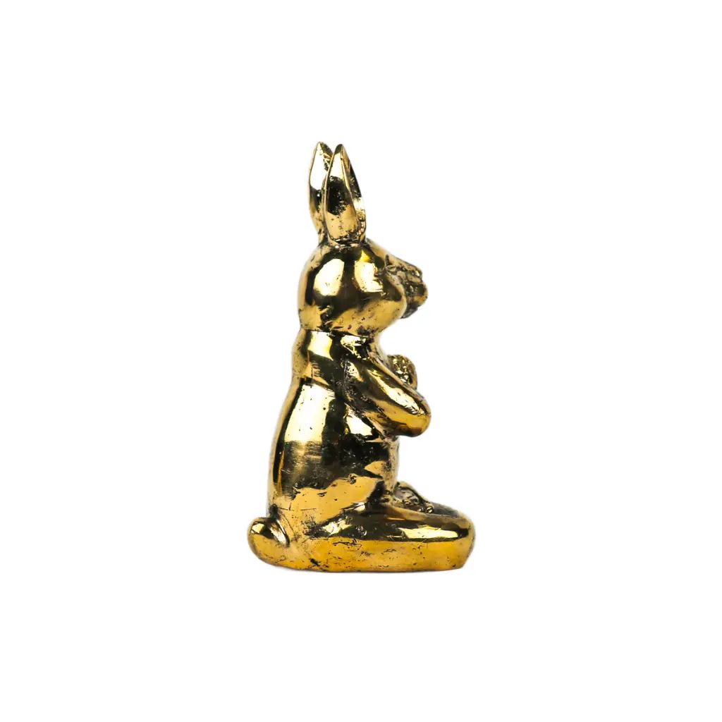 RABBIYOGBZ13-01 (4).webp