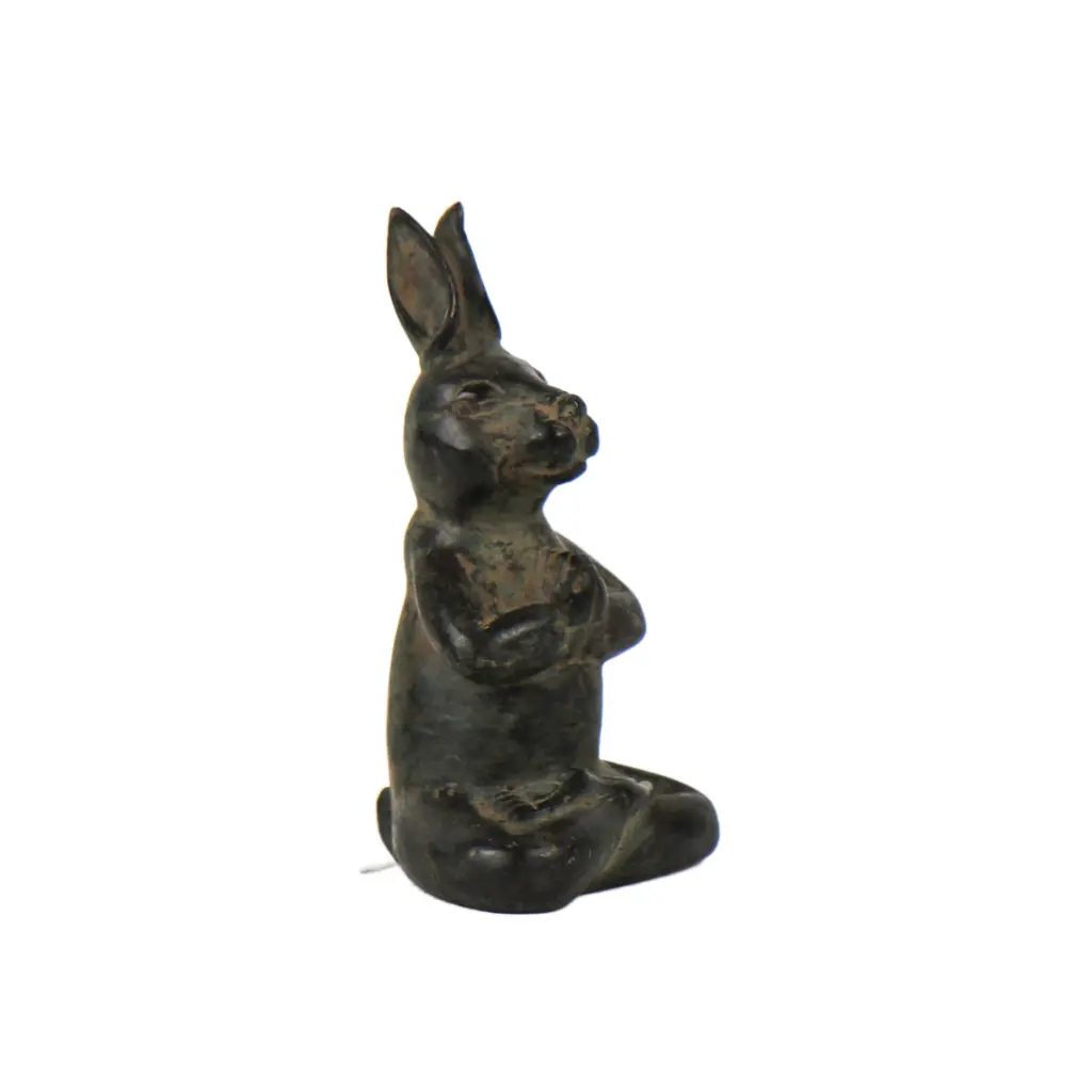 RABBIYOGBZ13-03 (2).webp