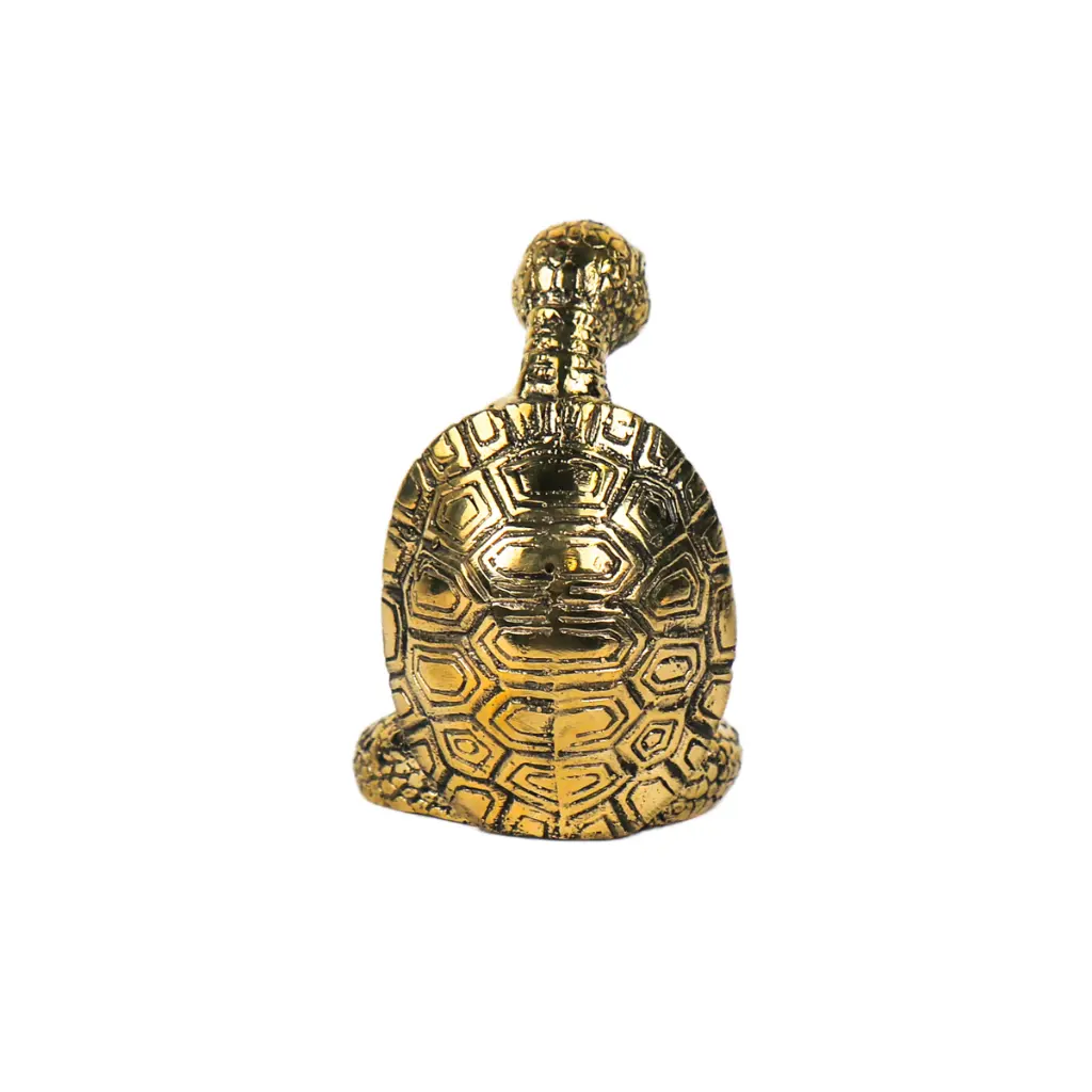 TURTLYOGBZ10-01 (5).webp