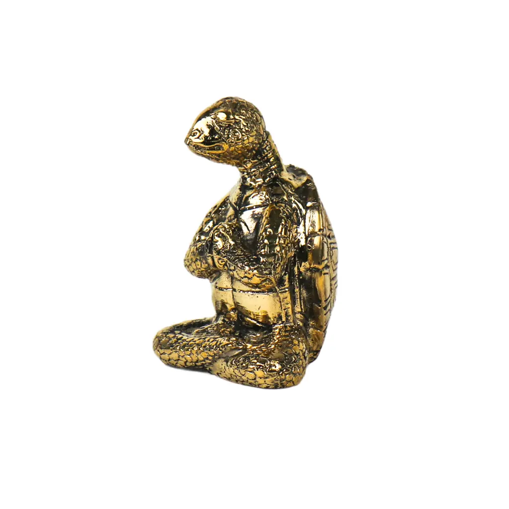 TURTLYOGBZ10-01 (8).webp