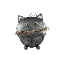 CAT10-03(1).webp