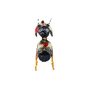 BULLDOGUP14 (5).webp