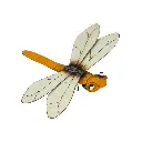 DRAGFLYHGUP18 (3).webp