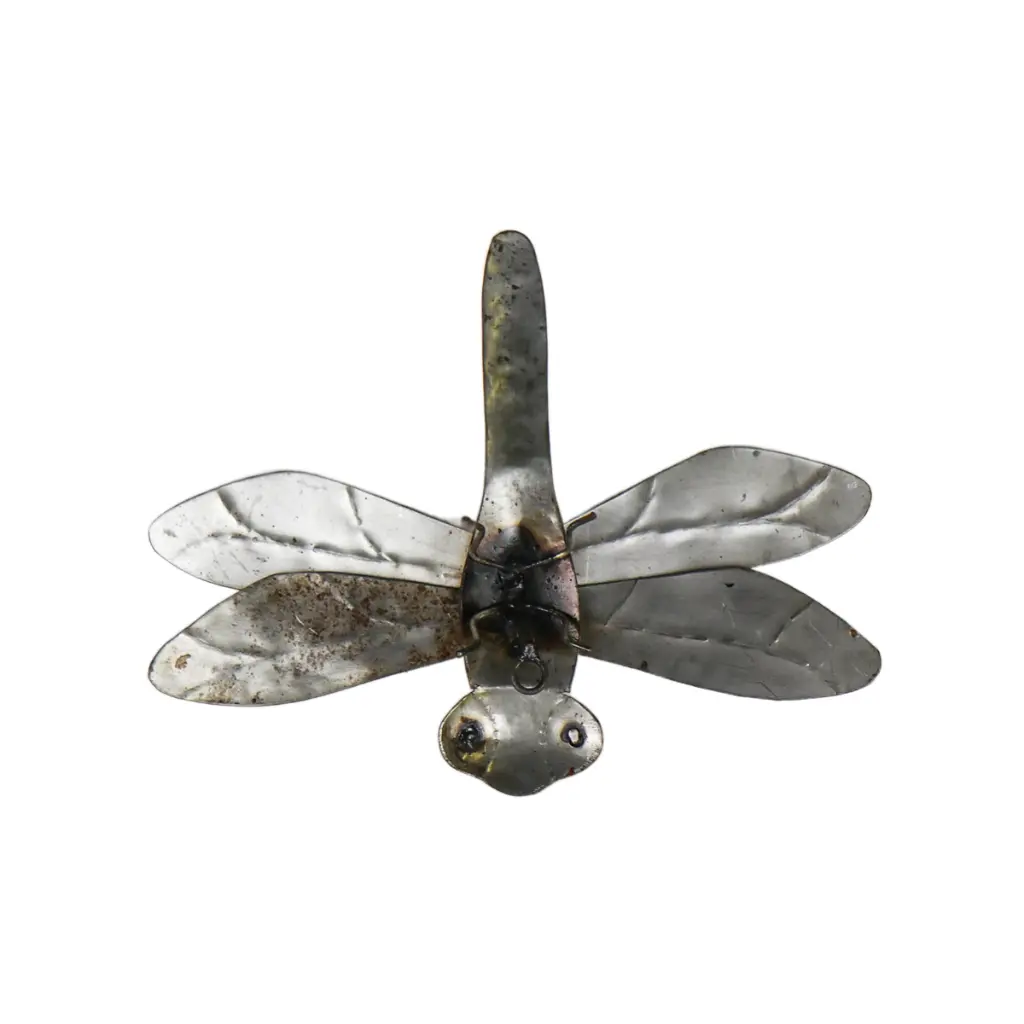 DRAGFLYHGUP18 (2).webp