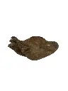 PU132 (3).webp