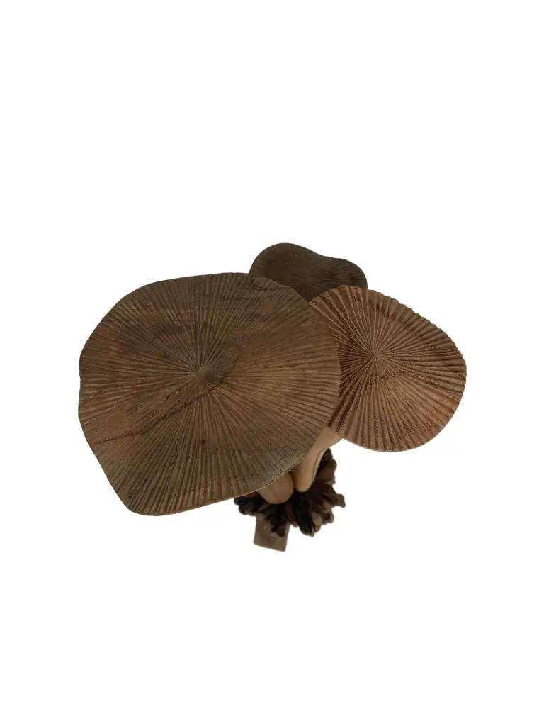 PU168 (2).webp