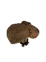PU168 (2).webp