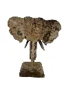 PU199 (3).webp
