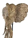 PU218 (2).webp