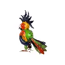 PARROT43-01 (6).webp