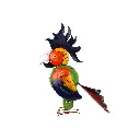 PARROT43-01 (7).webp