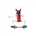 DOGSKUP20-02 (5).webp