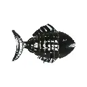 PFISH30 (3).webp