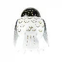 PENGUIN37 (5).webp
