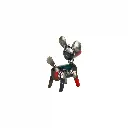 DOGGYUP14-01 (6).webp