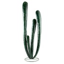Cactus Organ Pipe (80) - Vert