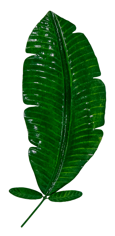 Pimp Banana Leaf (55) - Green