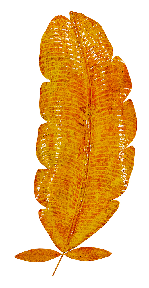 Pimp Banana Leaf (90) - Yellow/Orange