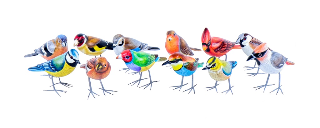 Bird Wood (10) - Mix Colour & Model (Minimum 12 pcs)