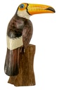 Toucan Wood (25) - Brown + White + Orange