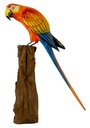 Perroquet Wood (50) - Rouge + Bleu + Jaune