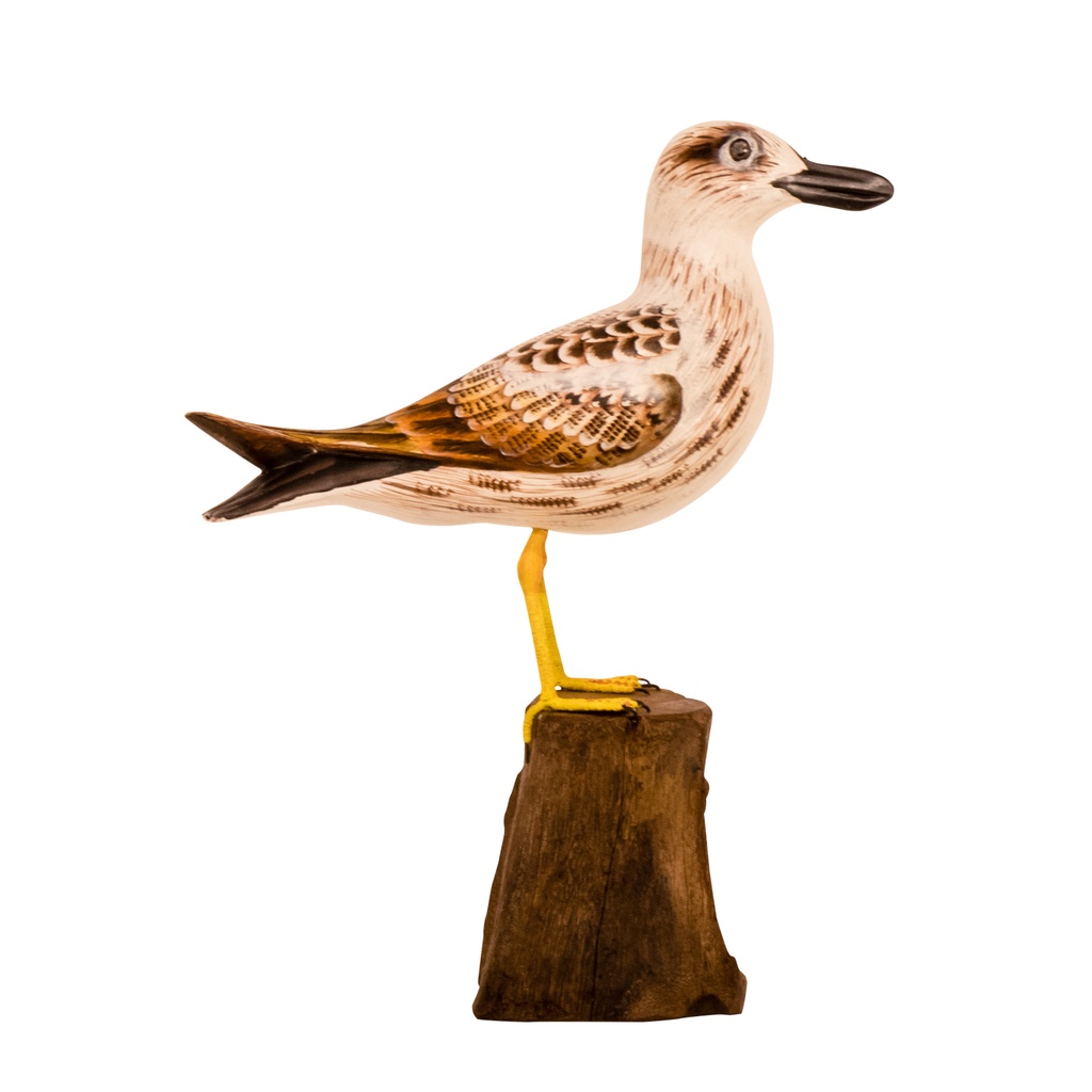 Mouette Wood (32) - Crème + Brun