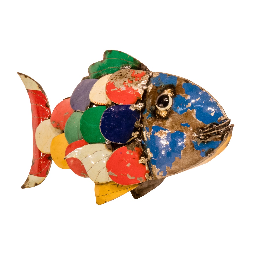 Fish Up (23) - Mix Colour