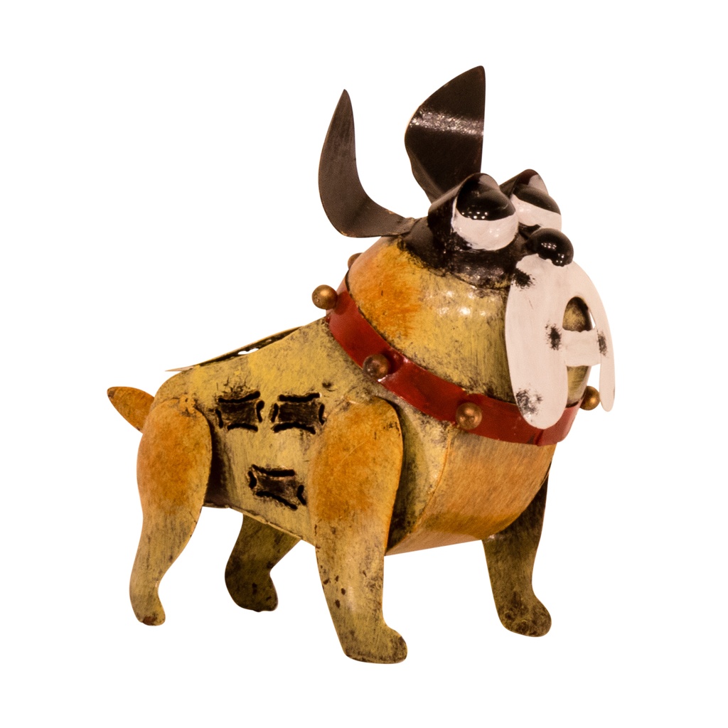 Bulldog (17) - Crème + Brun (Minimum 3 pcs)