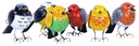 Oiseau Boule (10) - Mix Couleur (Minimum 6 pcs)