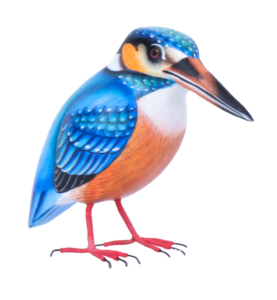 Kingfisher Wood (11) - Blue + Orange + White