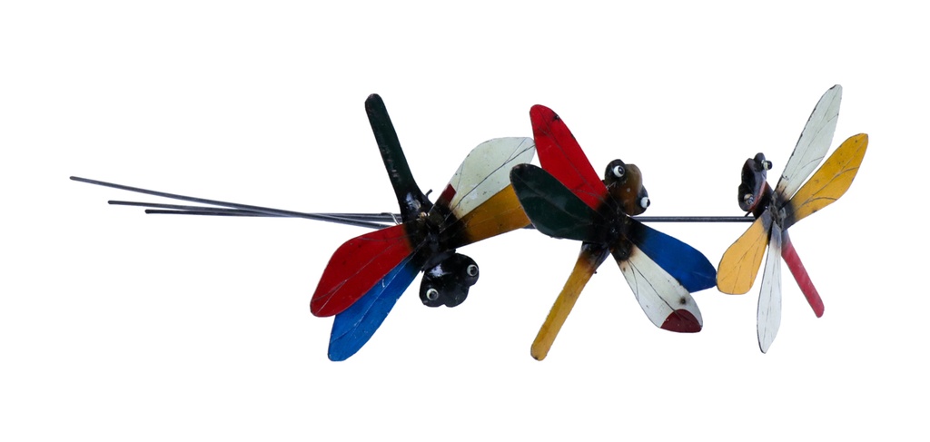 Dragonfly Stake Up (80) - Mix Colour