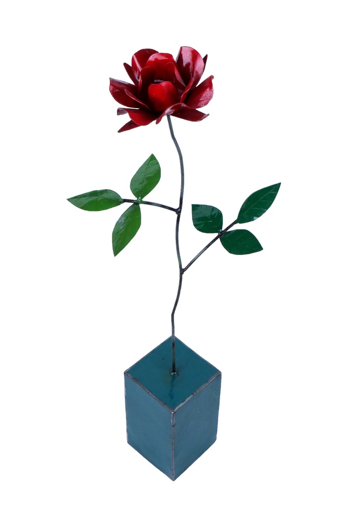 Rose Stand Up (73) - Mix Couleur