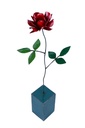 Rose Stand Up (73) - Mix Colour