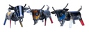 Taureau Up (8) - Mix Couleur (Minimum 6 pcs)