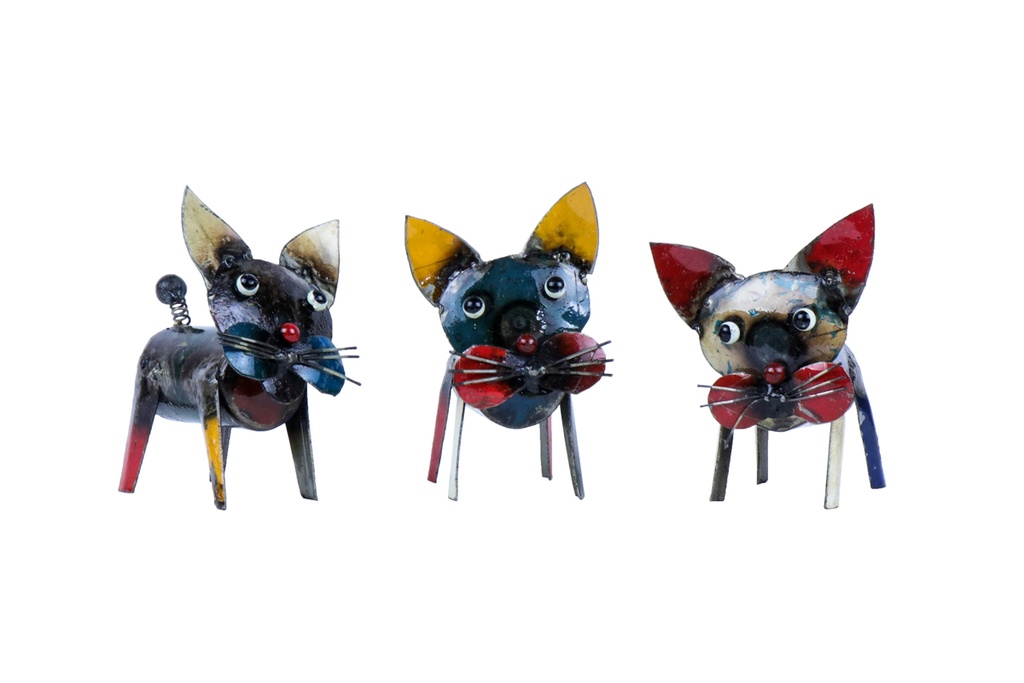 Chat Up (11) - Mix Couleur (Minimum 6 pcs)