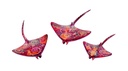 Raie Dali (6) - Mix Couleur (Set de 3)