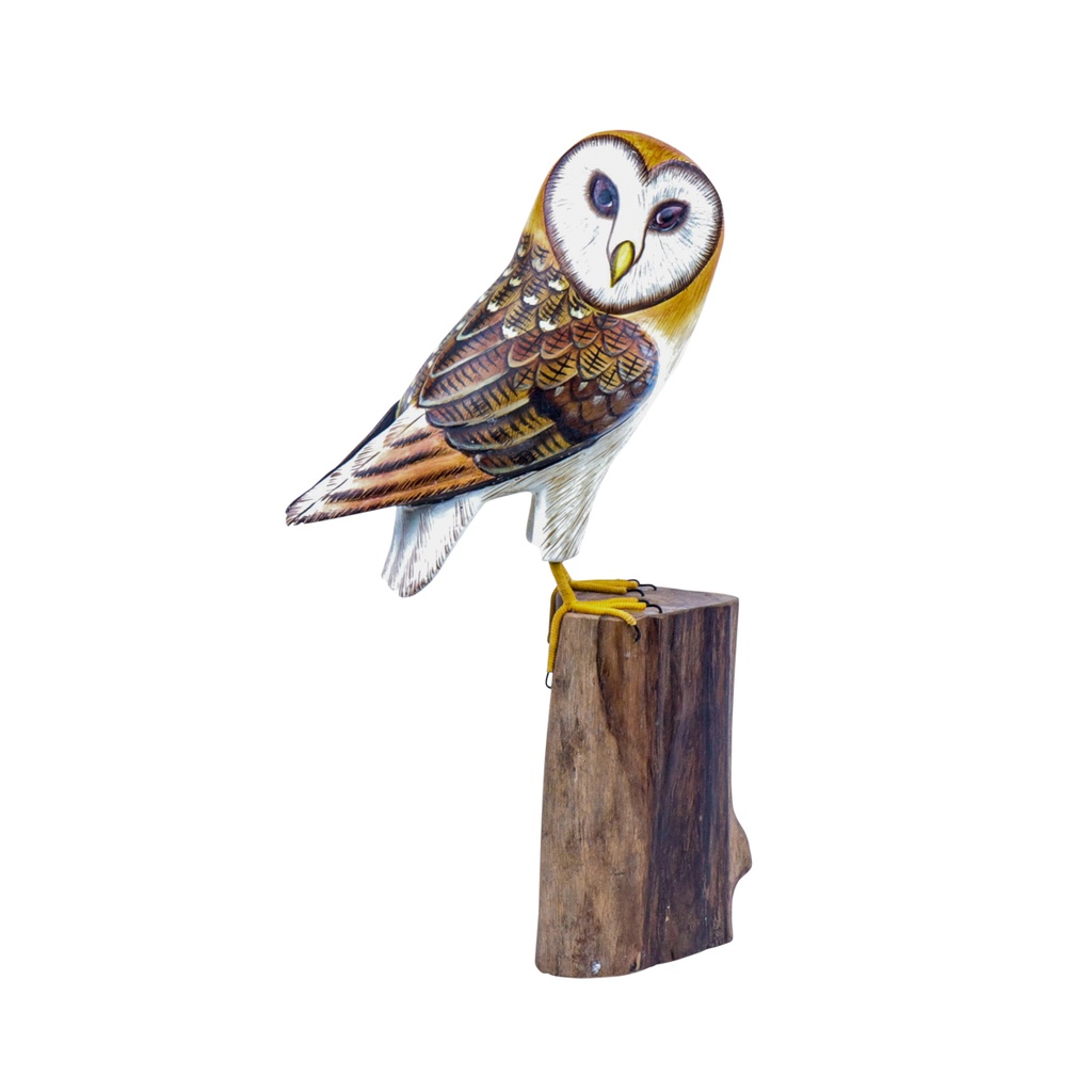 Chouette Effraie Wood (20) - Brun + Blanc