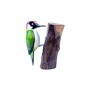 Pic Vert Wood (18) - Vert + Blanc + Noir + Rouge