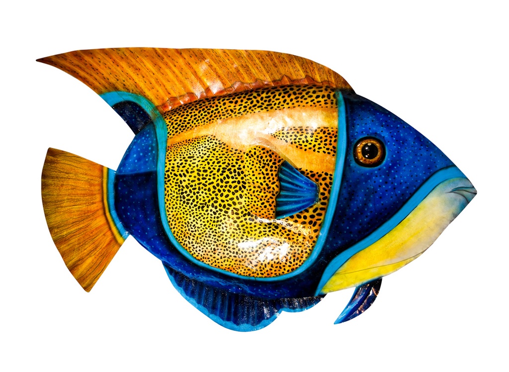 Pimp Poisson (150) - Bleu + Jaune + Orange + Rouge